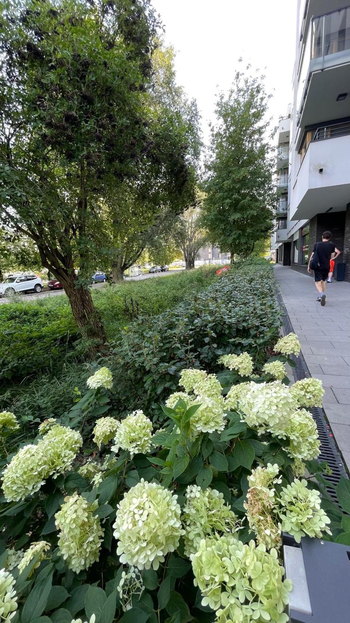 Apartamenty Warszawa Centrum Wlodarzewska 30 Varsóvia Exterior foto